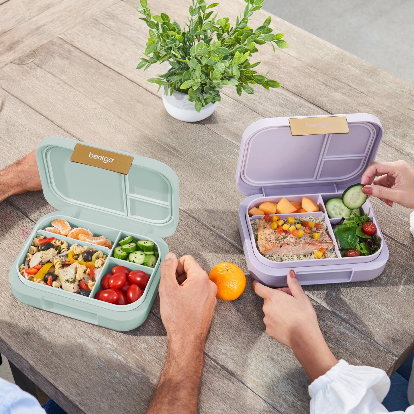 bentgo-modern-lunch-box-2-pack-l4 COSTCOBMCPRODUCTIMAGE_2.jpg